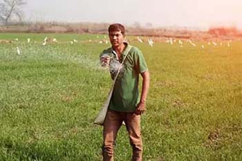 rising-sulphur-prices-put-fertiliser-sector-under-pressure