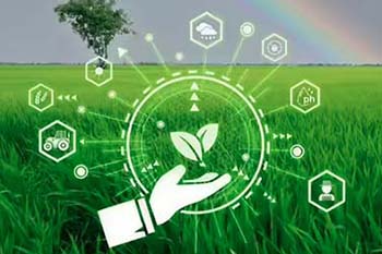 why-ai-in-indian-agriculture-needs-stronger-data